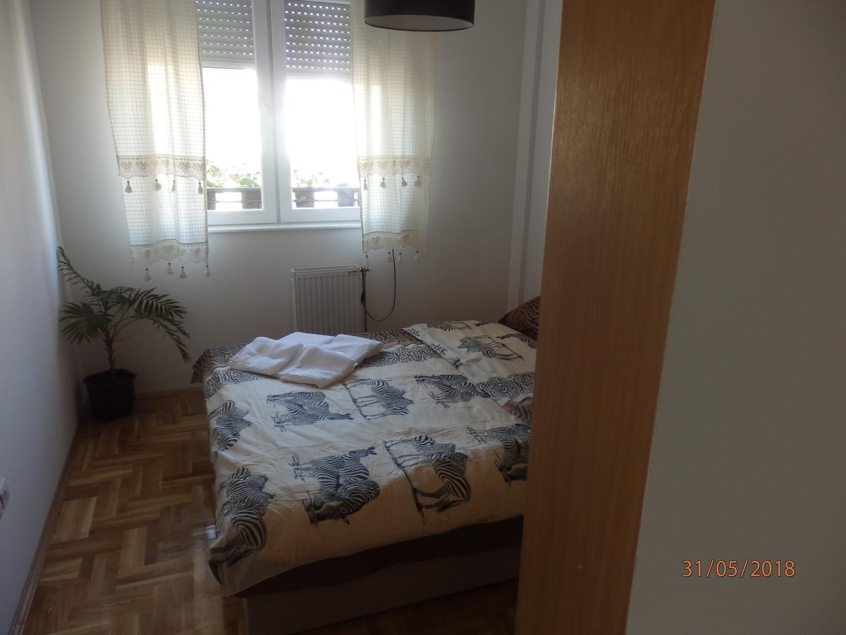 Apartment Erika Nowy Sad Zewnętrze zdjęcie