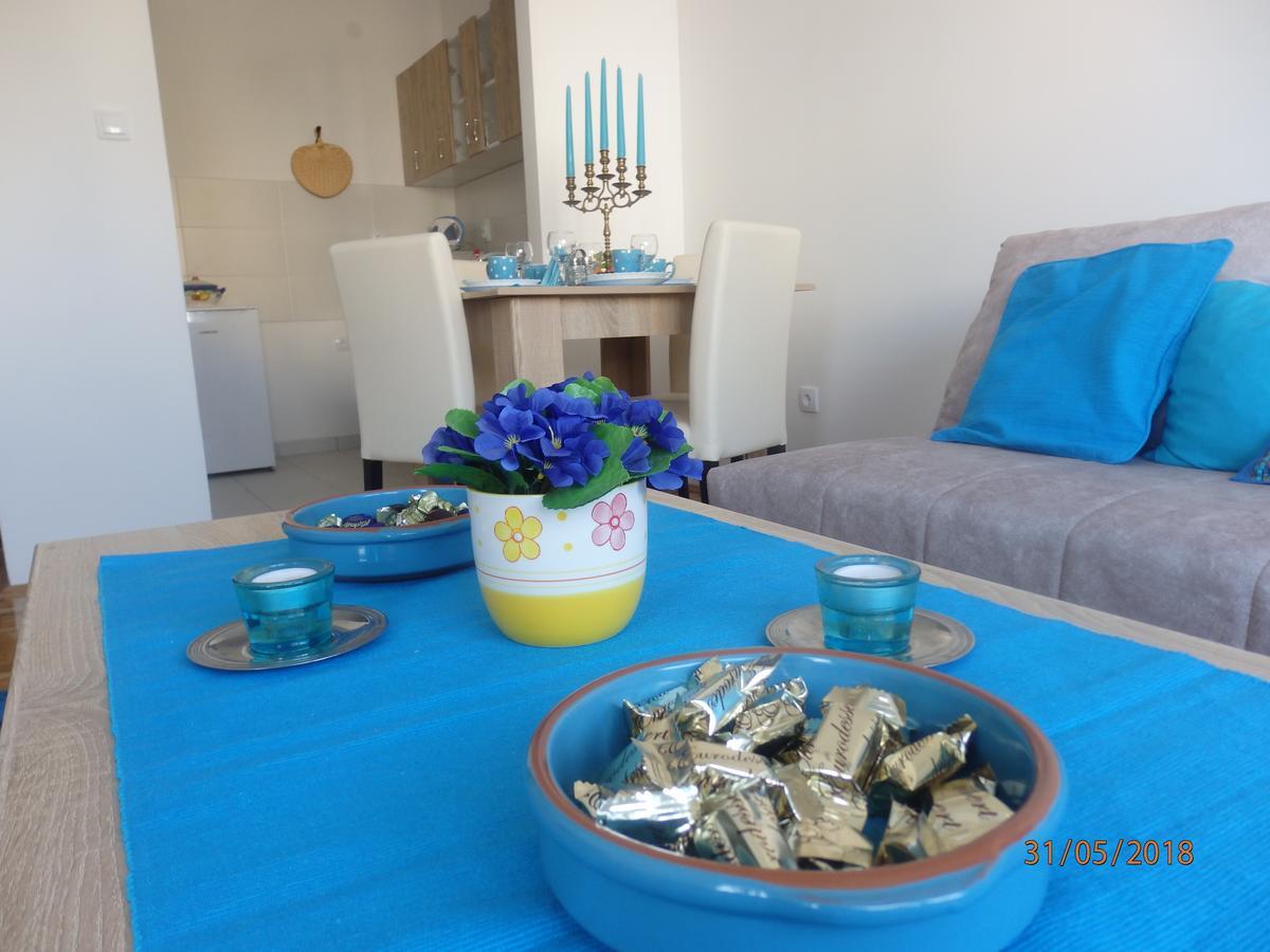 Apartment Erika Nowy Sad Zewnętrze zdjęcie