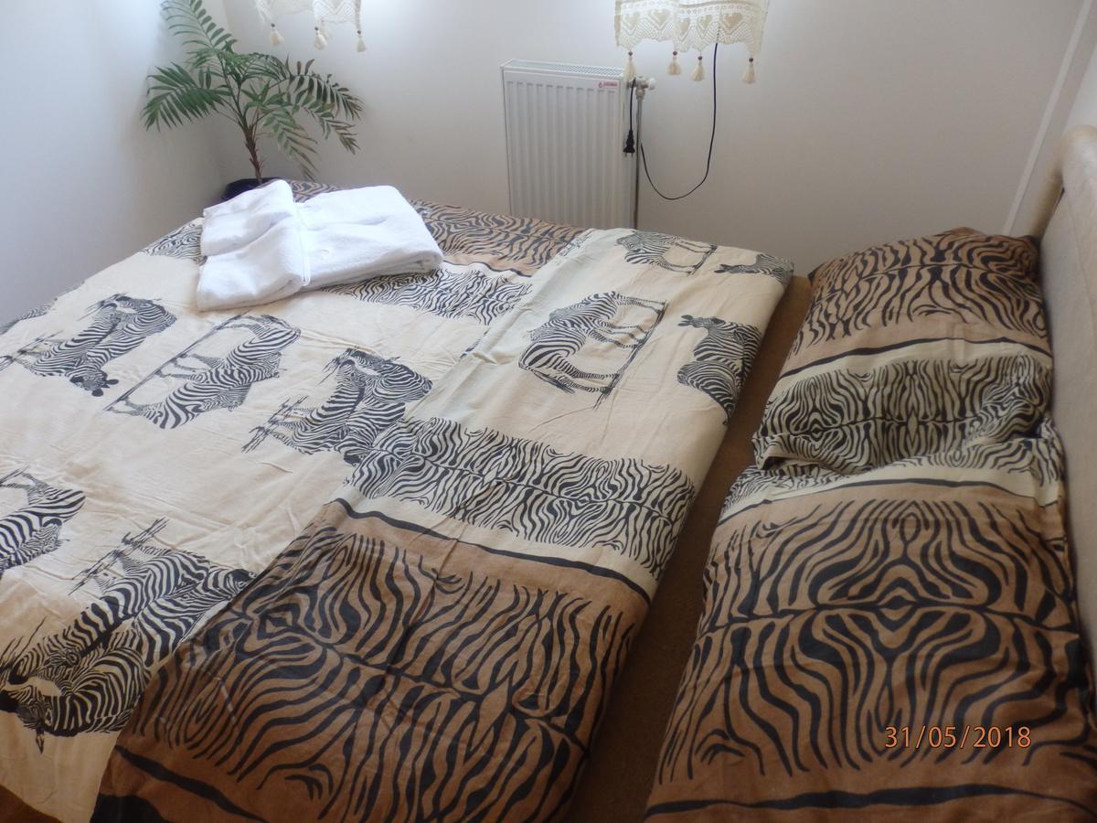 Apartment Erika Nowy Sad Zewnętrze zdjęcie