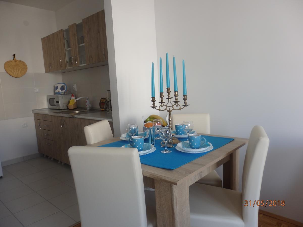 Apartment Erika Nowy Sad Zewnętrze zdjęcie