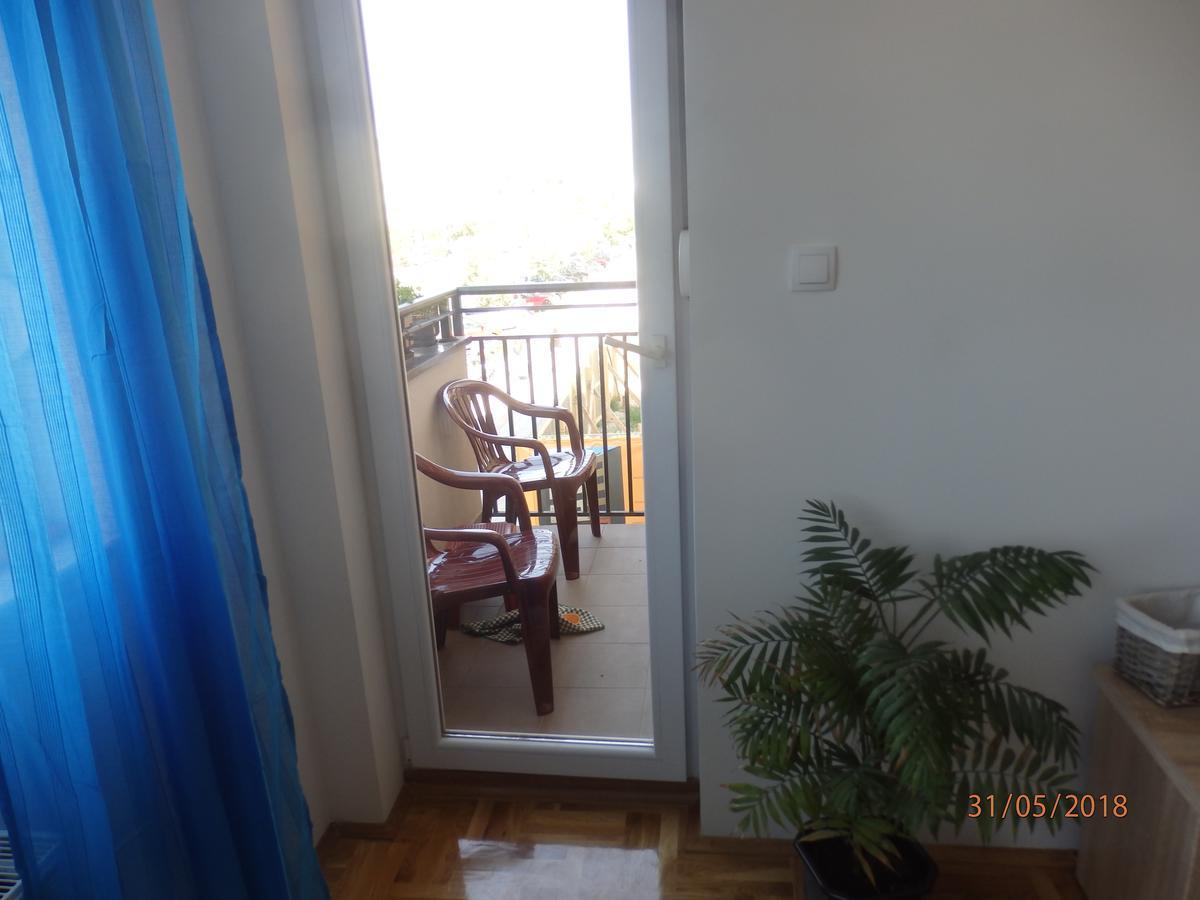 Apartment Erika Nowy Sad Zewnętrze zdjęcie